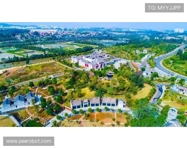 沧州雄狮展风采打造文化名片助力地方经济腾飞