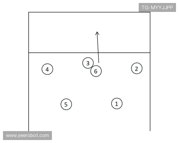 成都排球队引领最新排球战术十大趋势全面解析与展望
