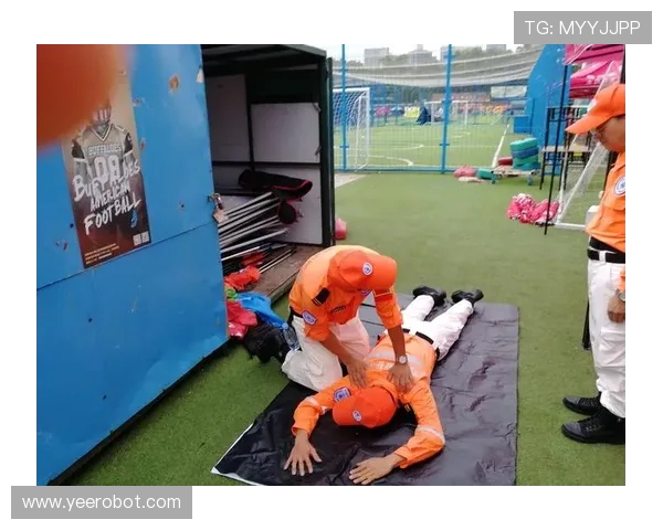 从草根到巅峰：全球足球文化激情、荣耀与时代变迁纪实全景探秘录